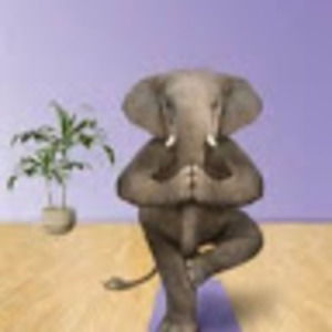 Meet your Posher, Terry